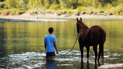 Chú Ngựa Già Lean on Pete