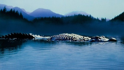 Hồ Cá Sấu Lake Placid